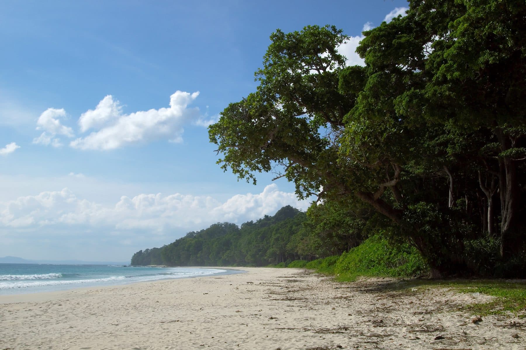 Radhanagar Beach on Havelock Island, Andaman Islands